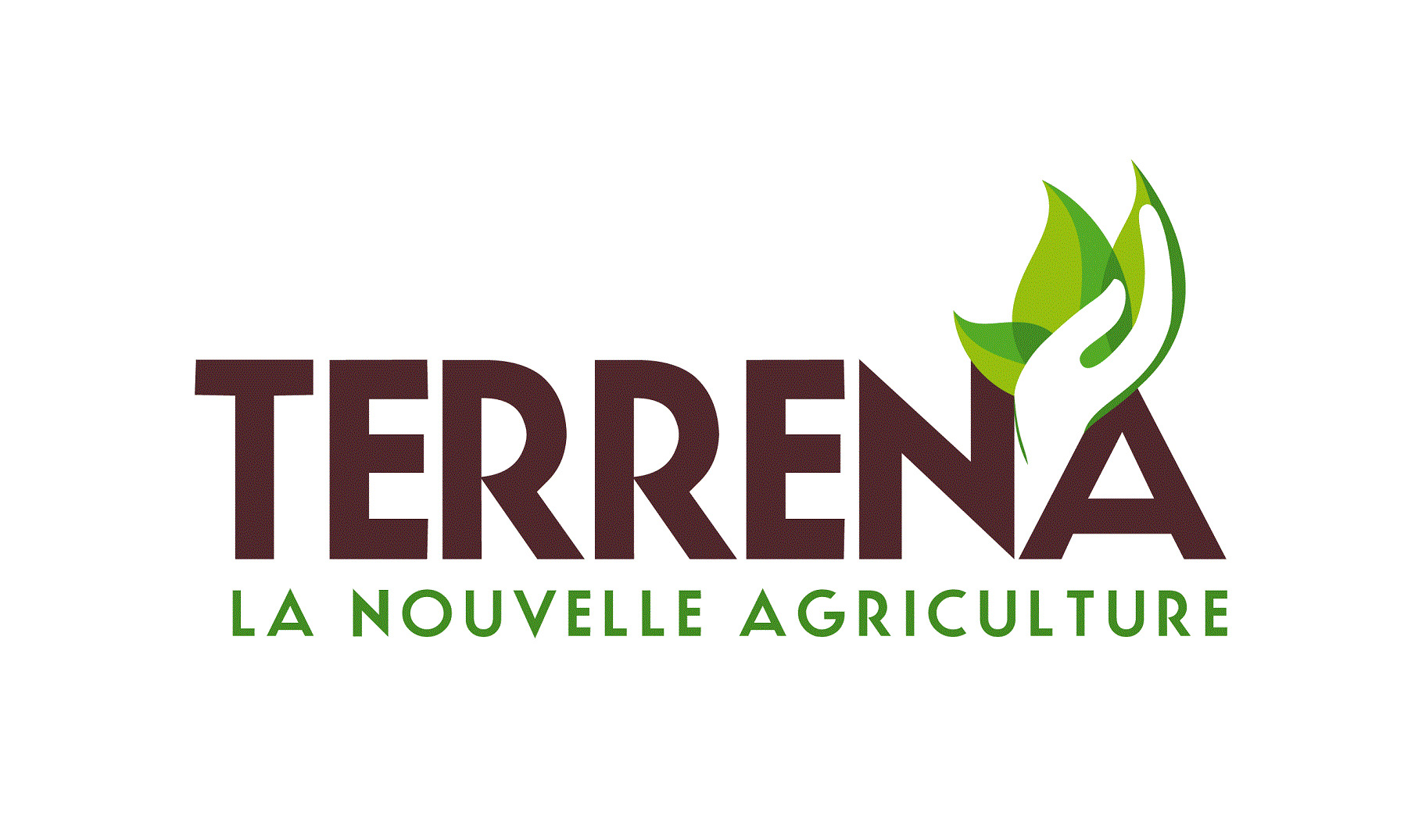 Logo Terrana